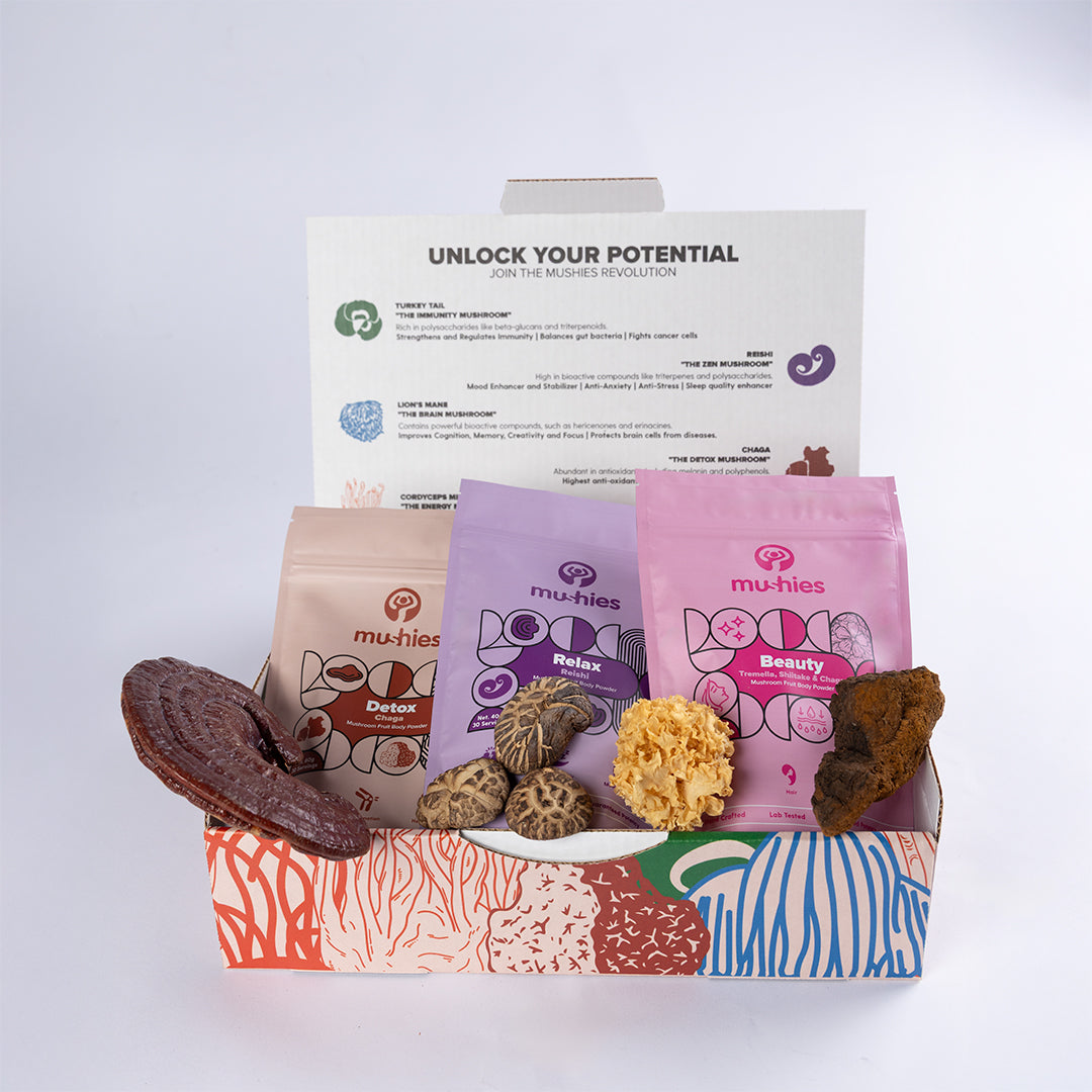 Glow & Renew Bundle